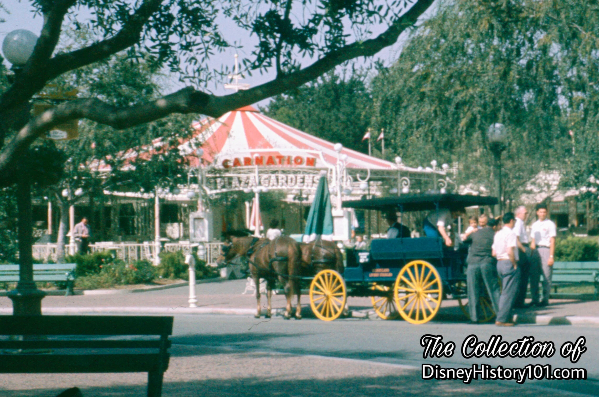 Carnation Plaza Gardens on the Central Plaza Hub of Disneyland 