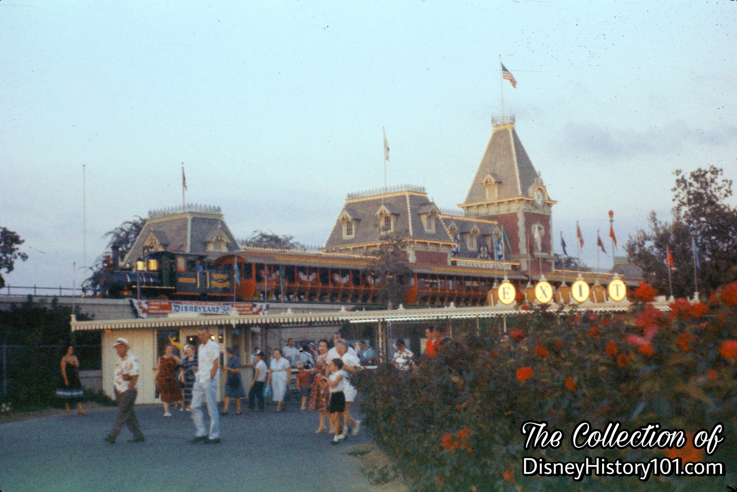 Blooming eight months out of the year are the Carousel roses near the entrance to Disneyland.