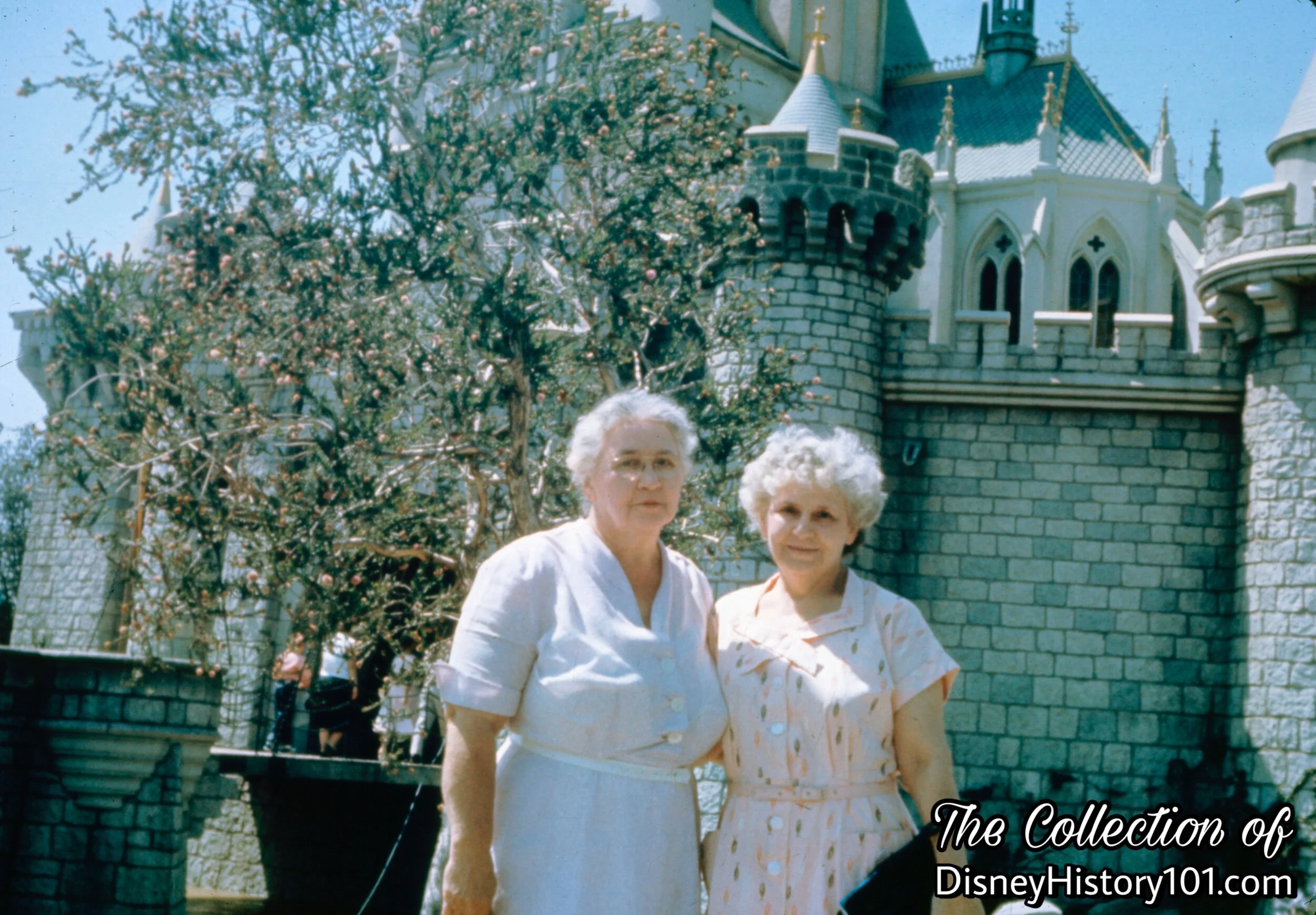  Walt dedicated  Fantasyland  to  “the young and young at heart.”  As to what you may call a key demographic of those audiences who pass through the turnstiles and toward the realm of fantasy beyond  Sleeping Beauty Castle , Walt once divulged:  “Dis