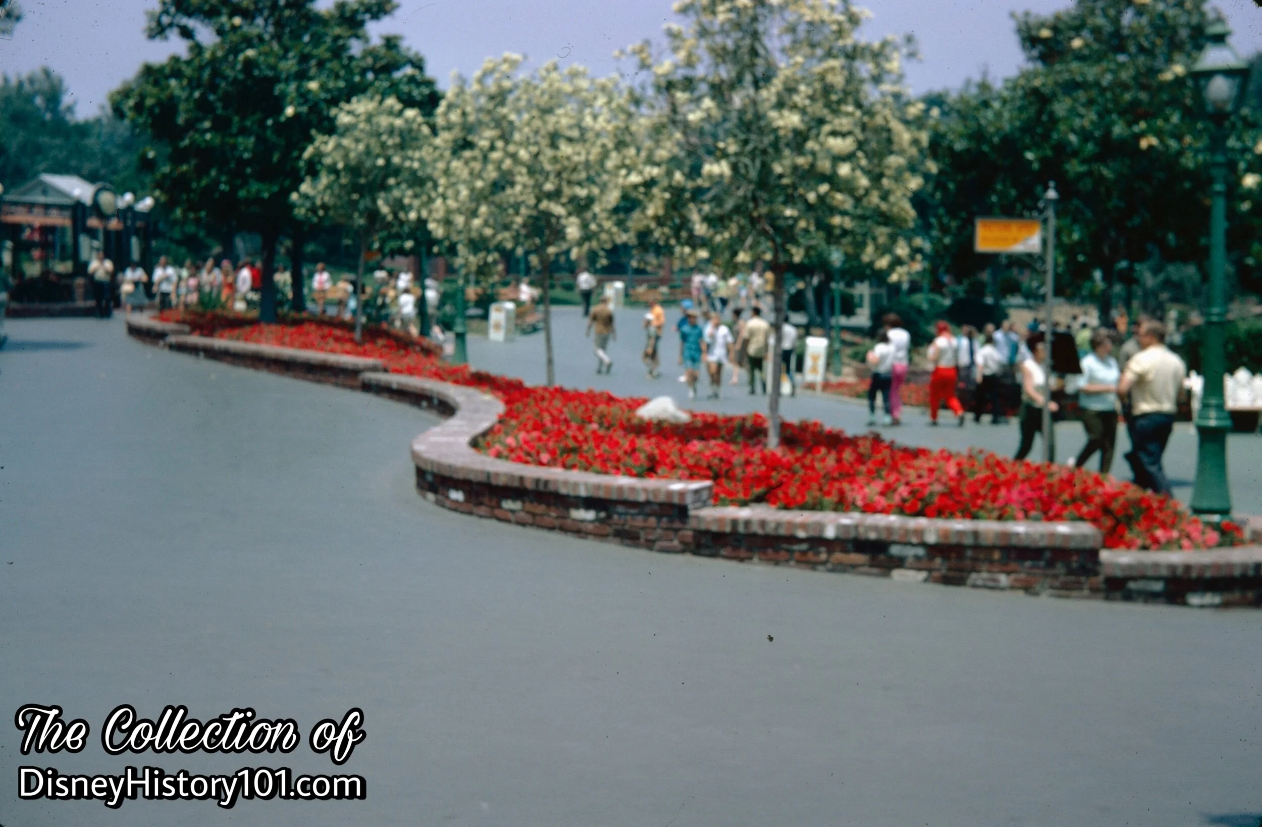 A landscaped area of Frontierland.