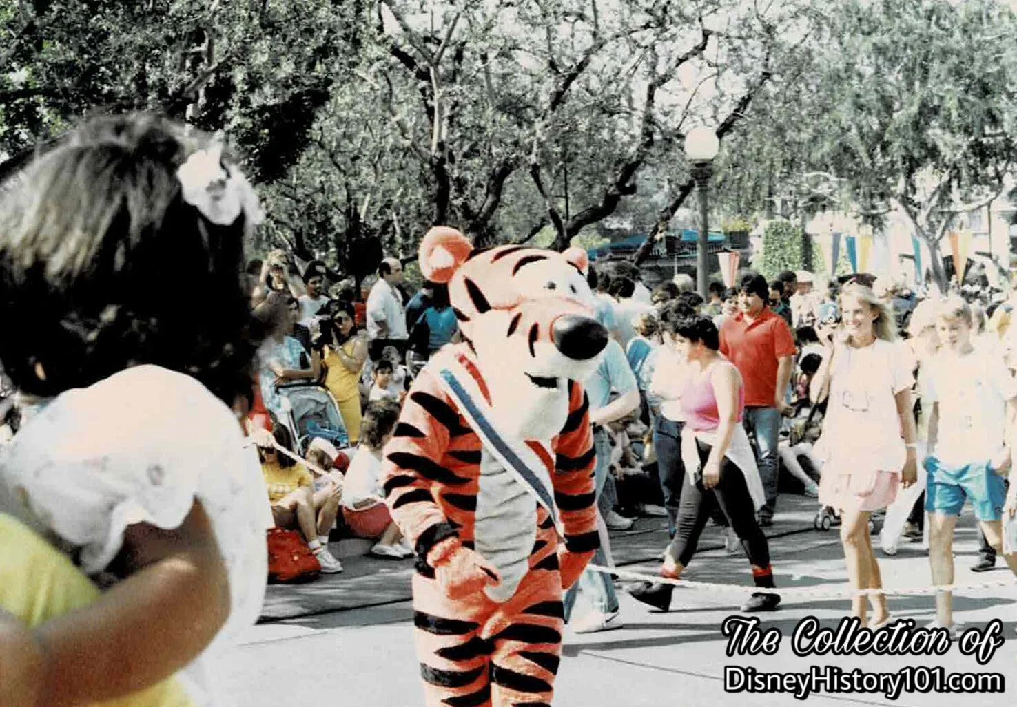 Circus Fantasy, (1987)