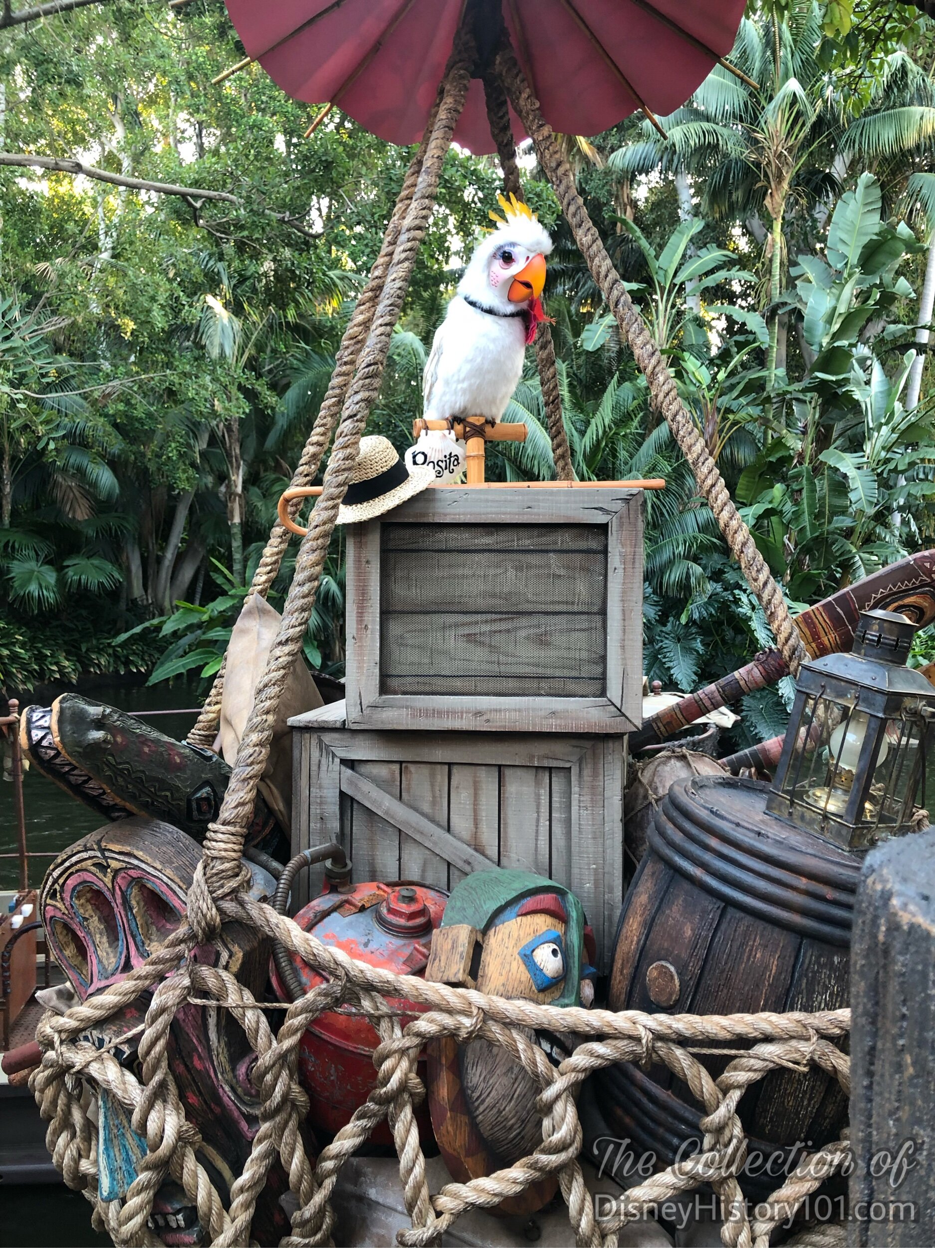 Rosita in the Tropical Hideaway.