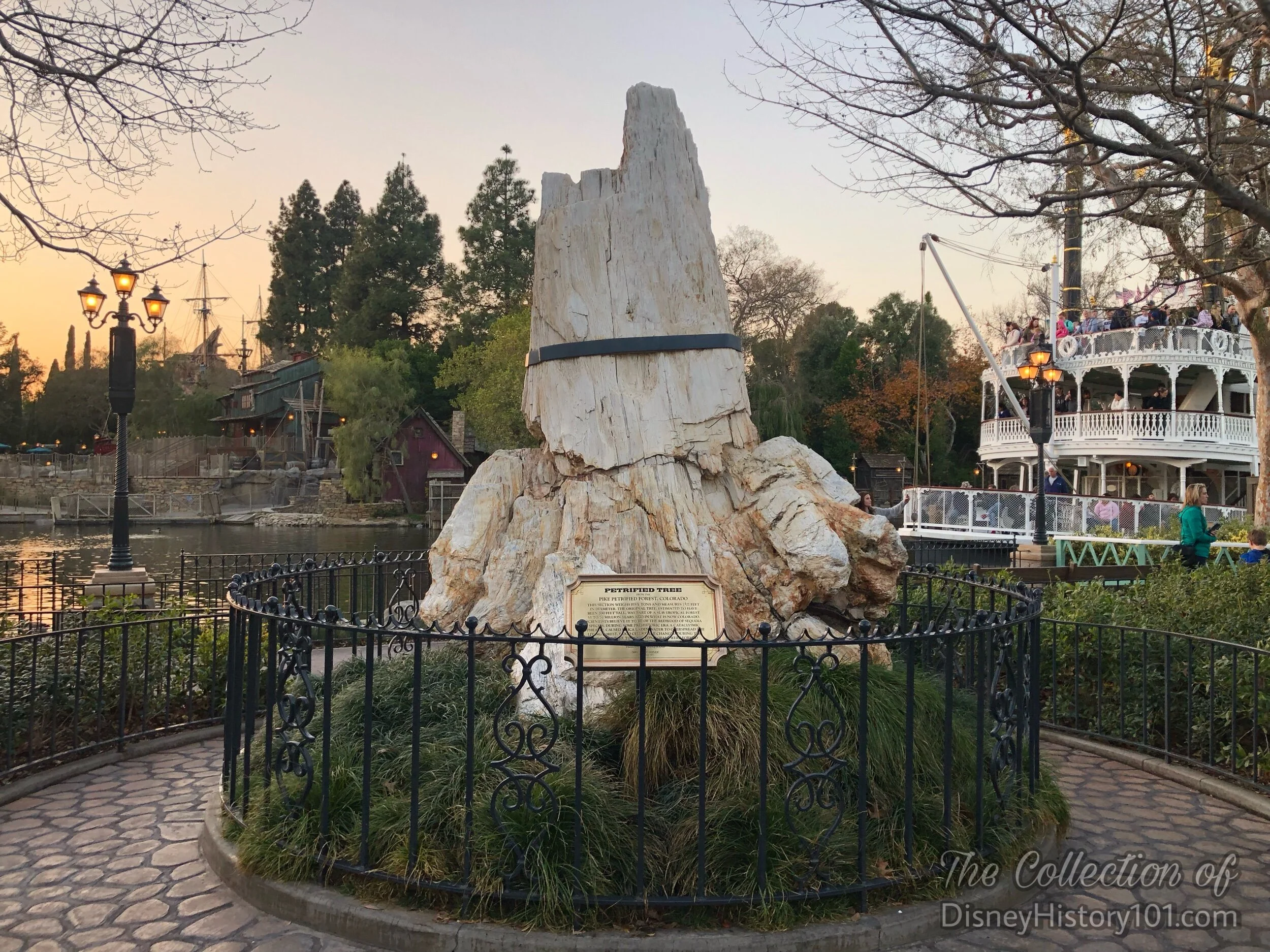 The Petrified Tree in the New Orleans Area of Frontierland.