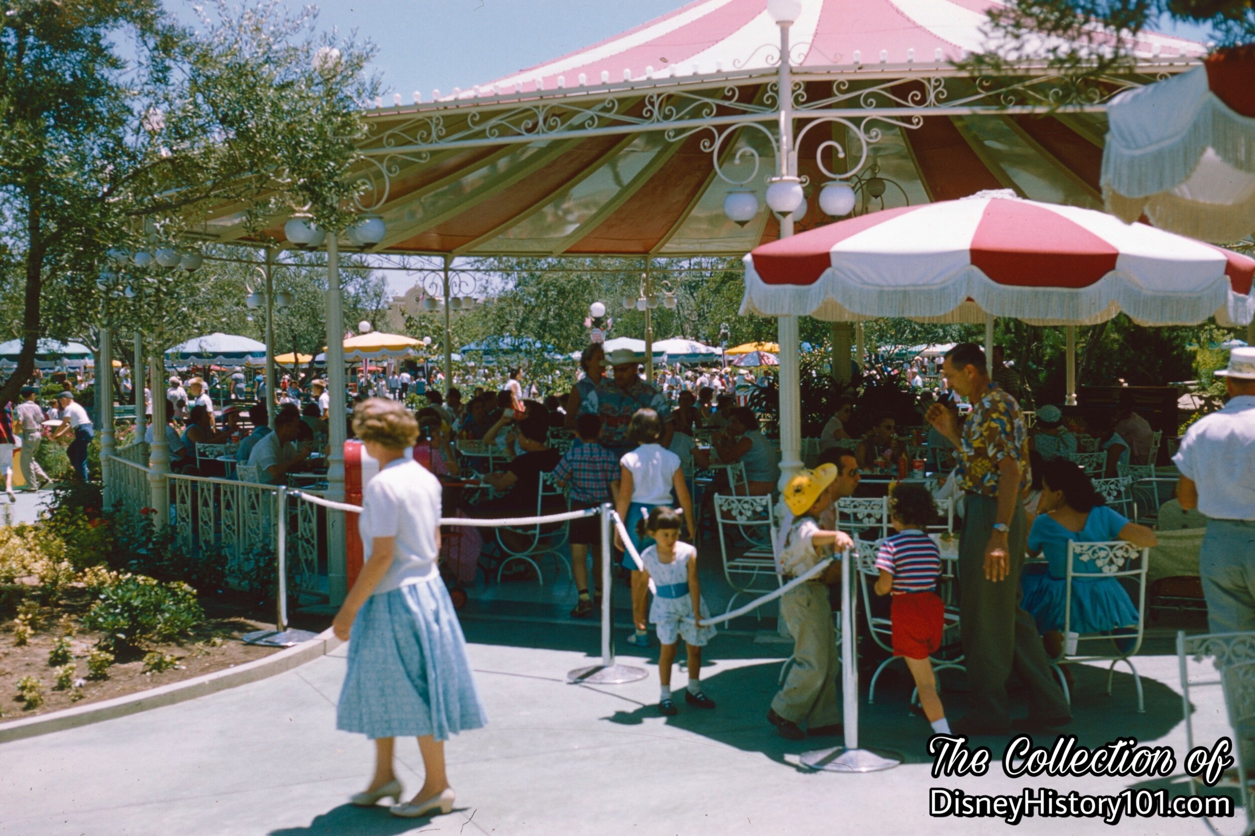 Carnation Plaza Gardens 