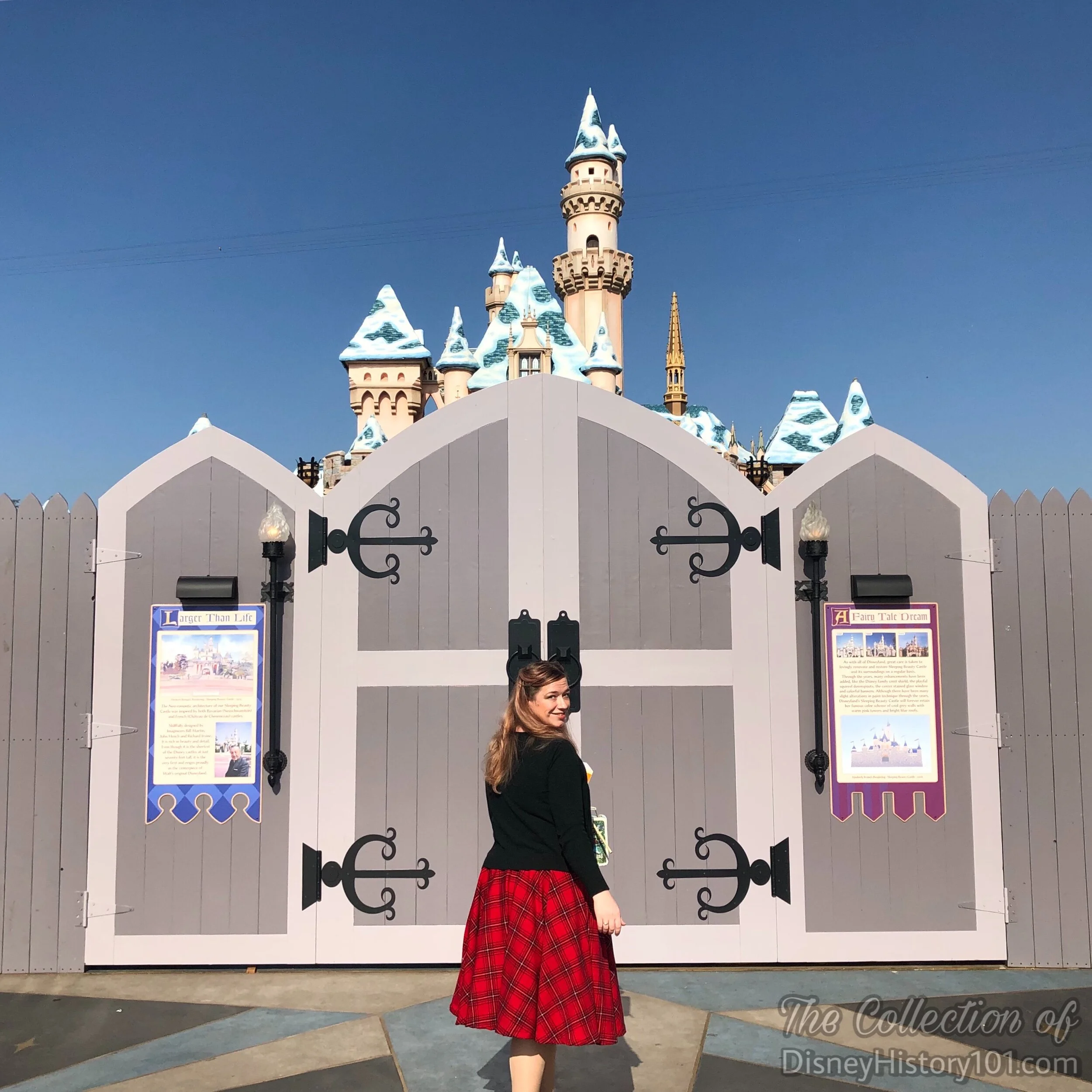 Sleeping Beauty Castle Rehabilitation