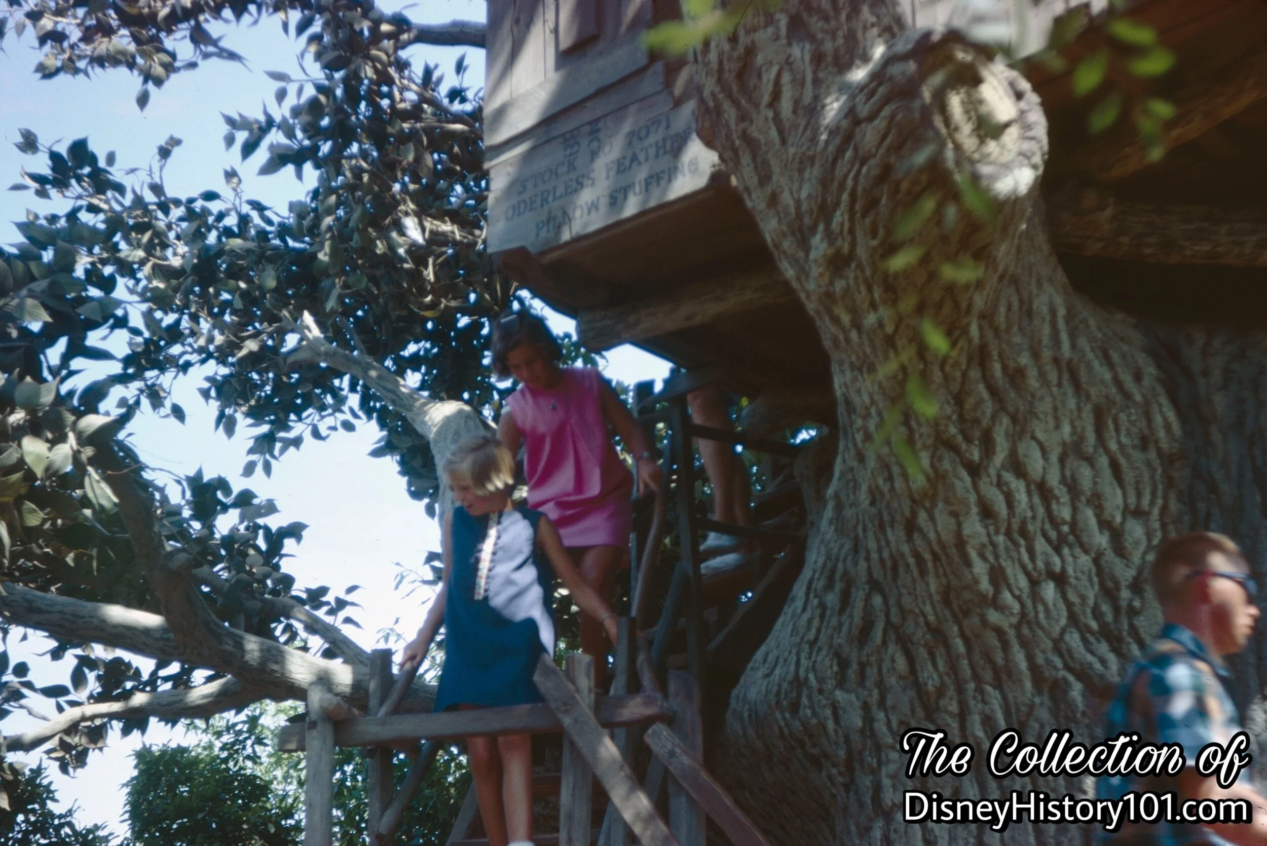 Tom & Huck's Tree House