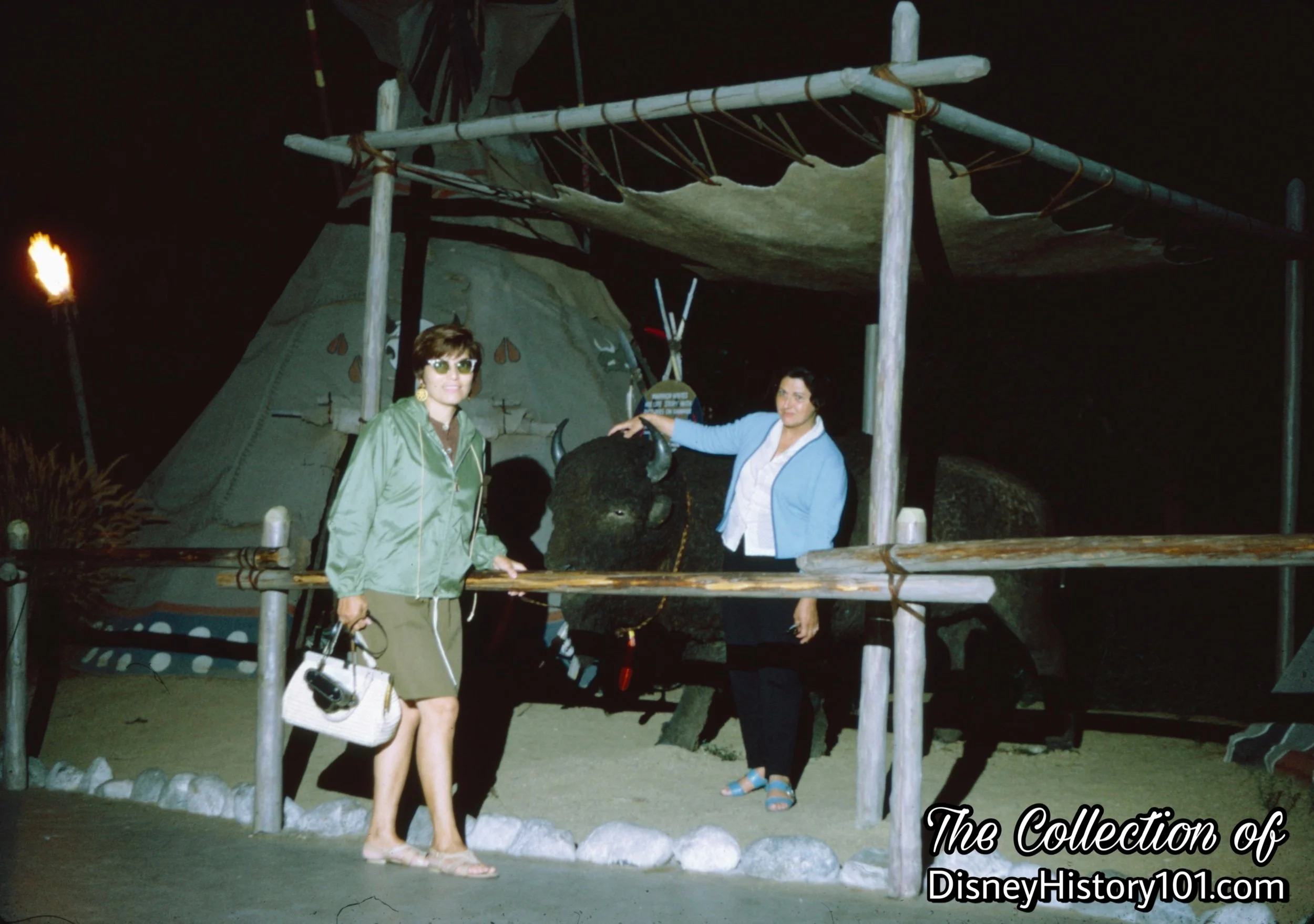 The sacred Buffalo (America Bison) Exhibit.
