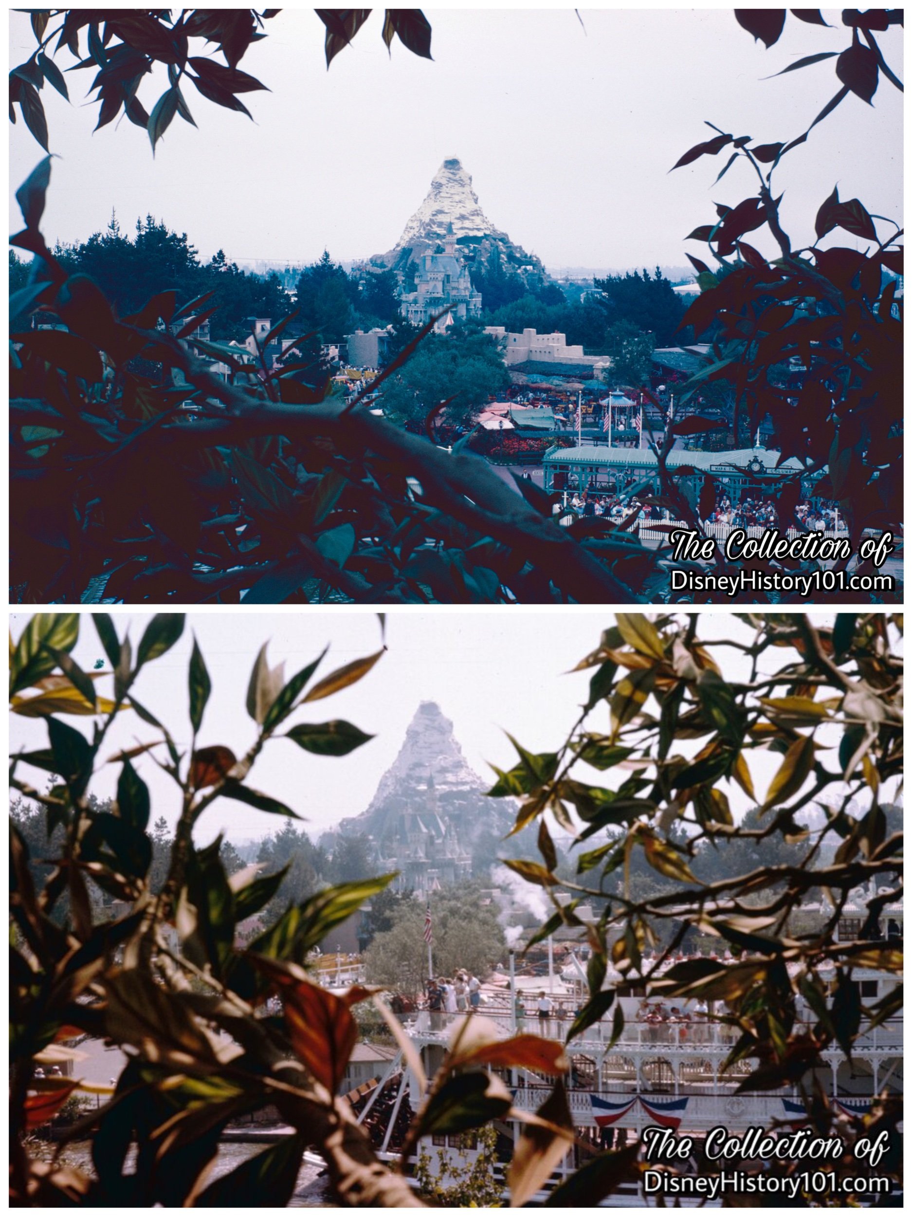 The Vintage Views from Tom & Huck's Tree House, (Upper, 1962; Lower 1961)