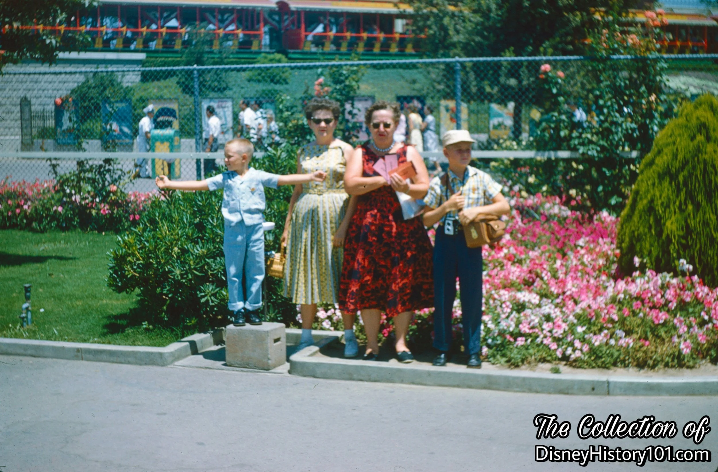  Morgan Evans once shared how “juniper and xylosma provide a green backdrop for the welcome mat of portulaca, candytuft and petunias at the entrance to Disneyland.” 