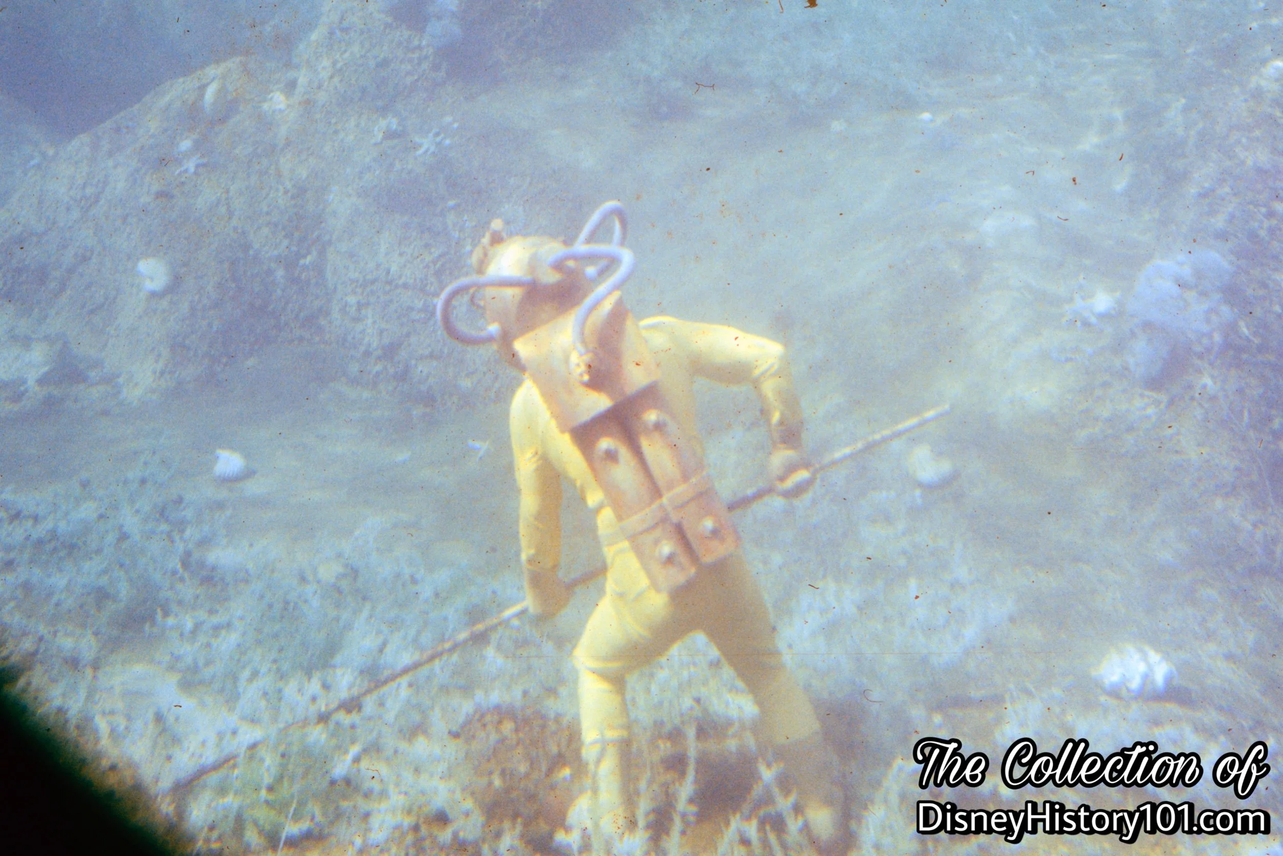 Diver