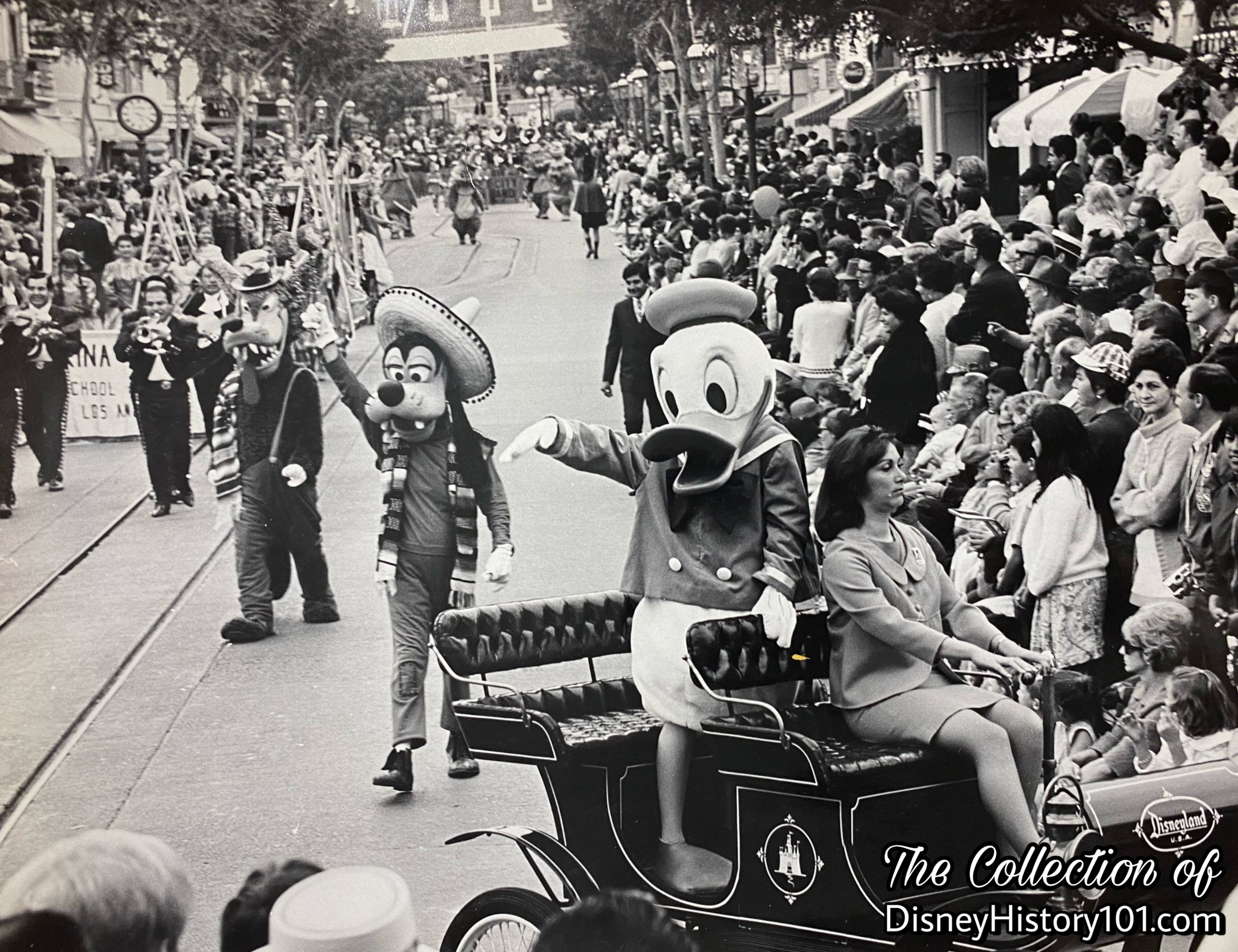 Horseless Carriages carried guests in parades during special events like Festival Mexico.