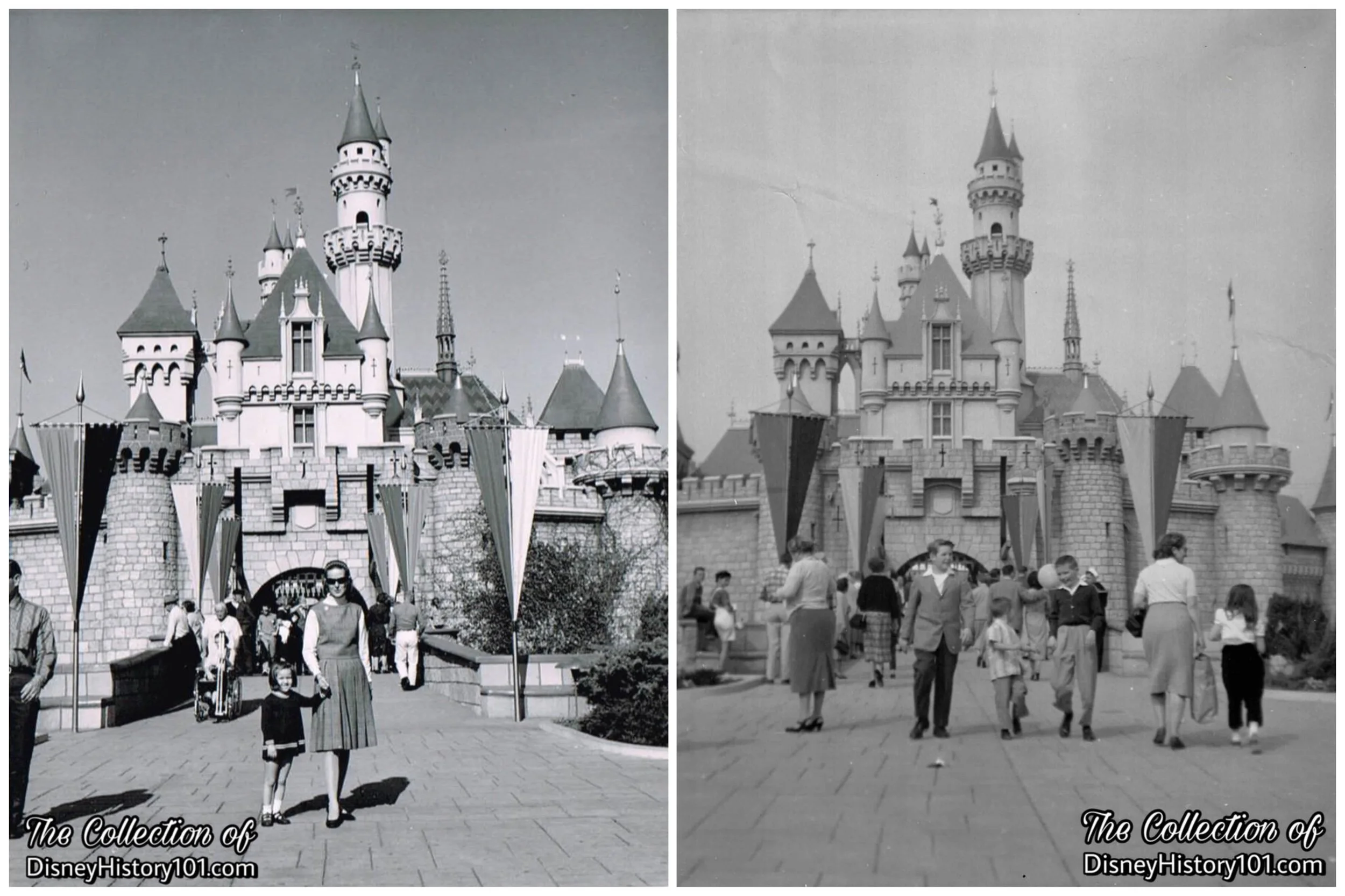 Sleeping Beauty Castle