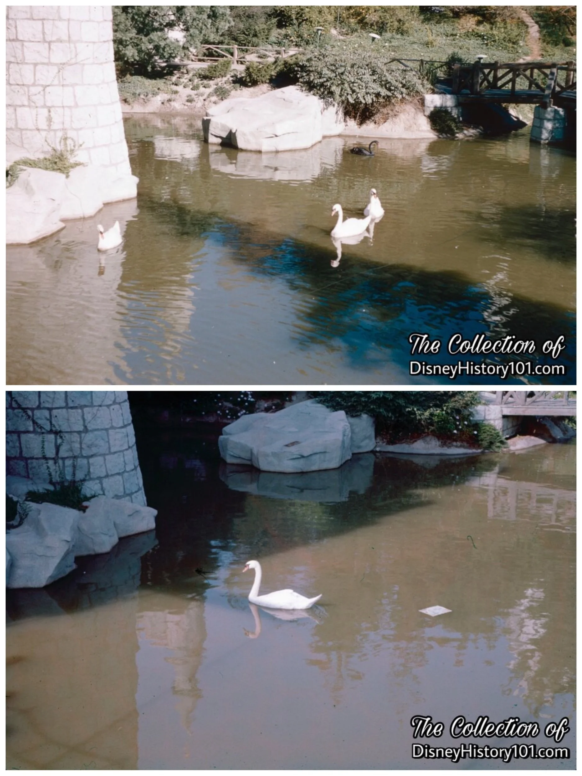 Sleeping Beauty Castle & Swan Lake
