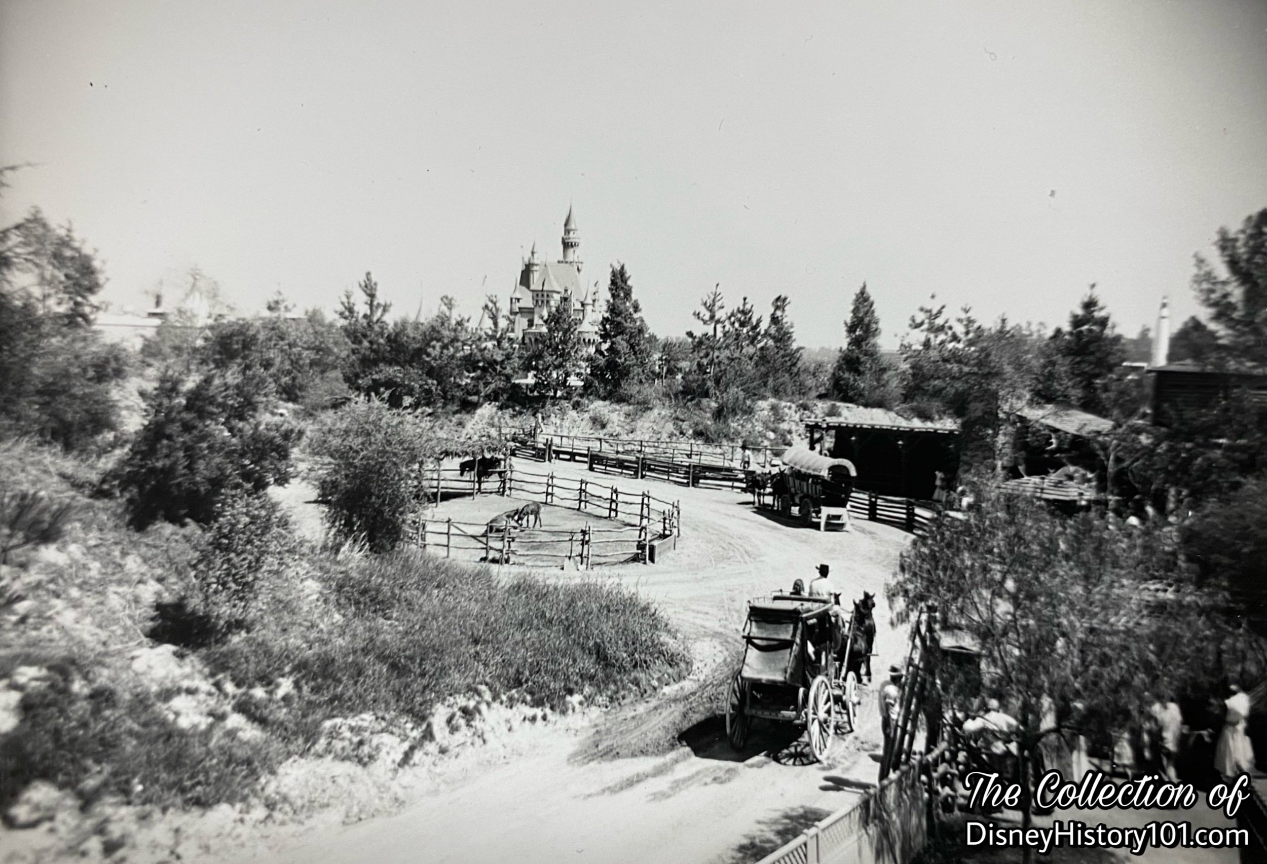 Now (a month after Disneyland’s first day of operation), “ Along [Frontierland’s own stretch of the] Oregon Trail” , the  “wringle, wrangle, jinggy, jong, jangle”  of the  Conestoga Wagons ’ mighty fine equine (and their gear) were heard from August