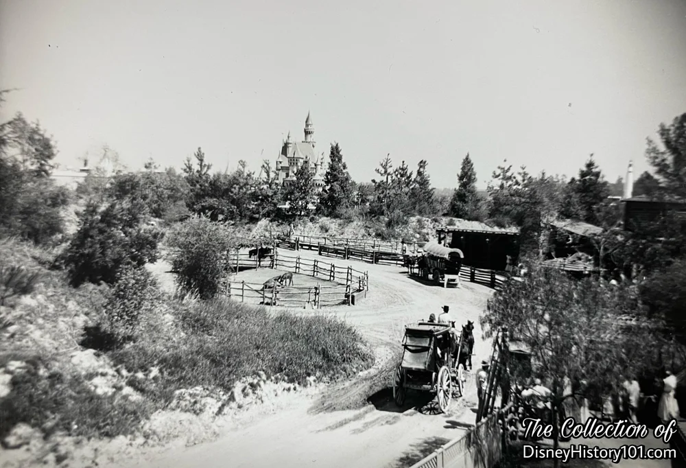 その他 Disney - Tradition Heritage Culture 1955 Disney Traditions