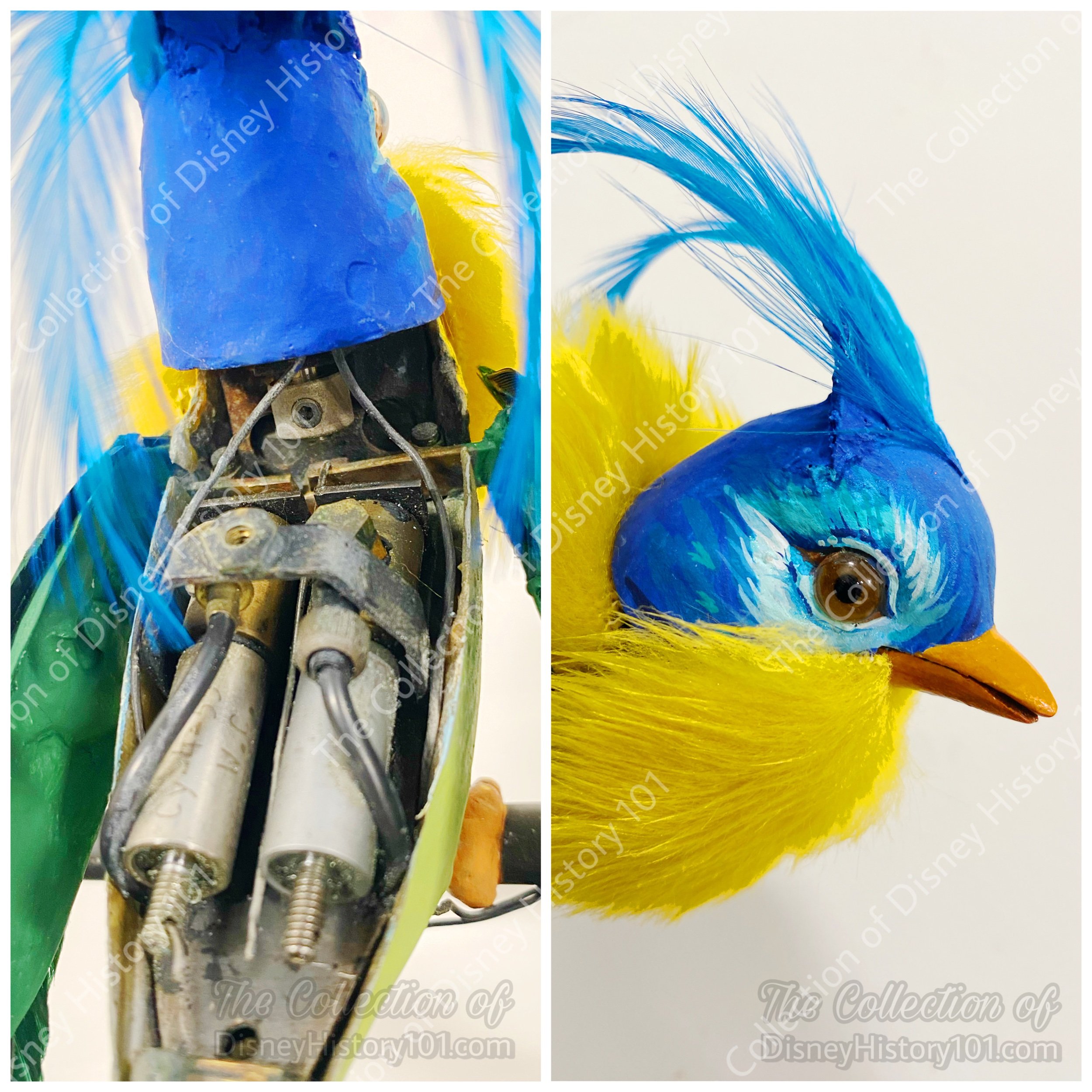 An Audio-Animatronics Enchanted Tiki Bird