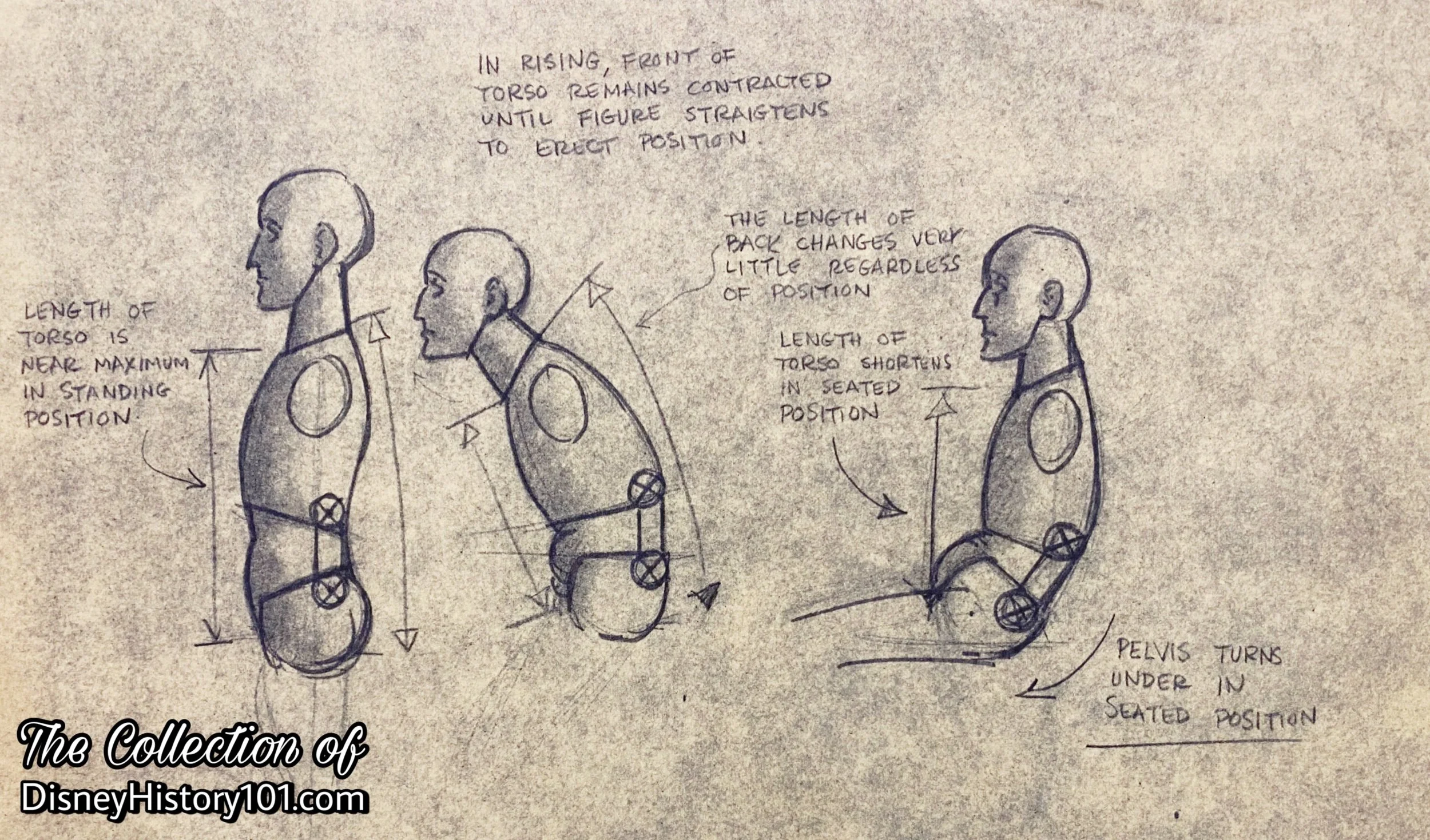 This brownline of Marc Davis' design details the connection points between the torso and pelvis for the rising motions of Mr. Lincoln.
