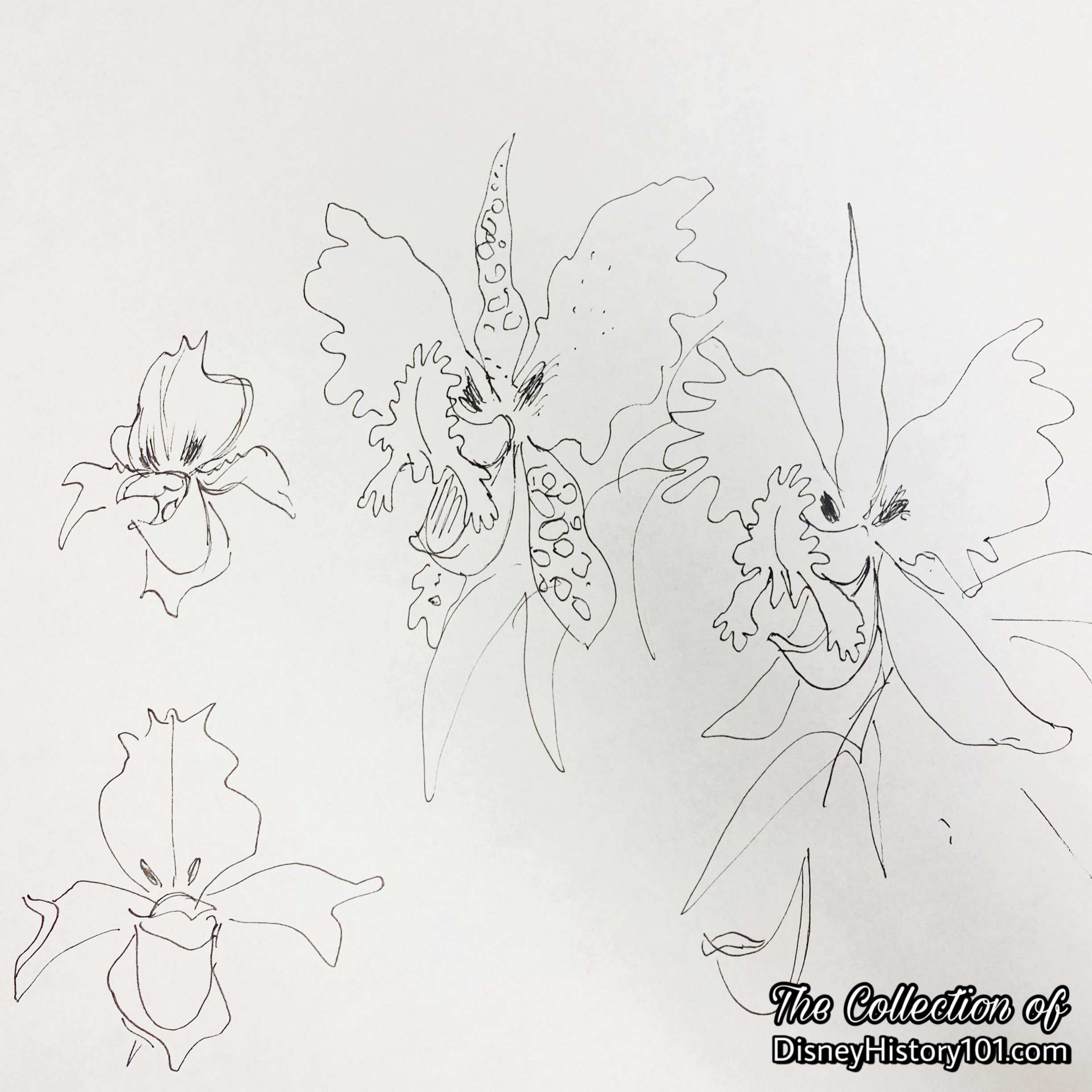 A concept for crooning flowers by Marc Davis.