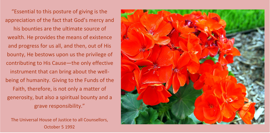 Quote_flowers.png