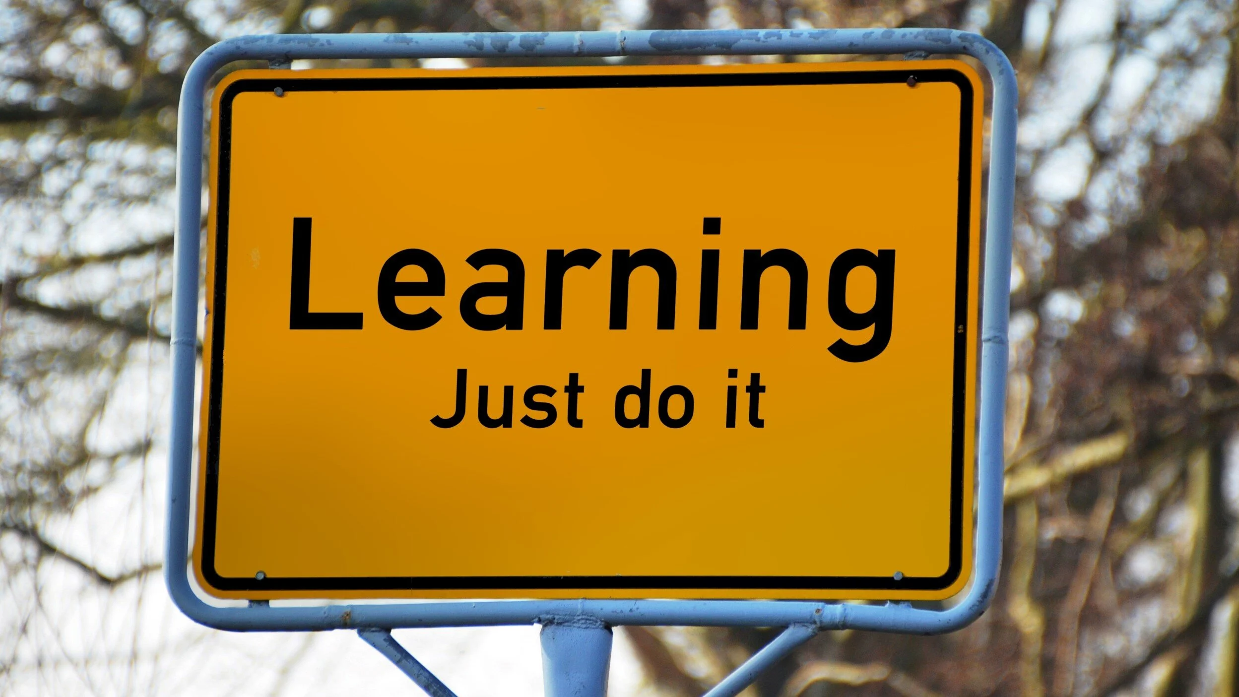 Summer schools offer riches of learning