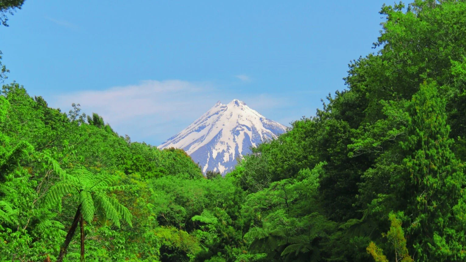 Taranaki cluster reaches second milestone of growth