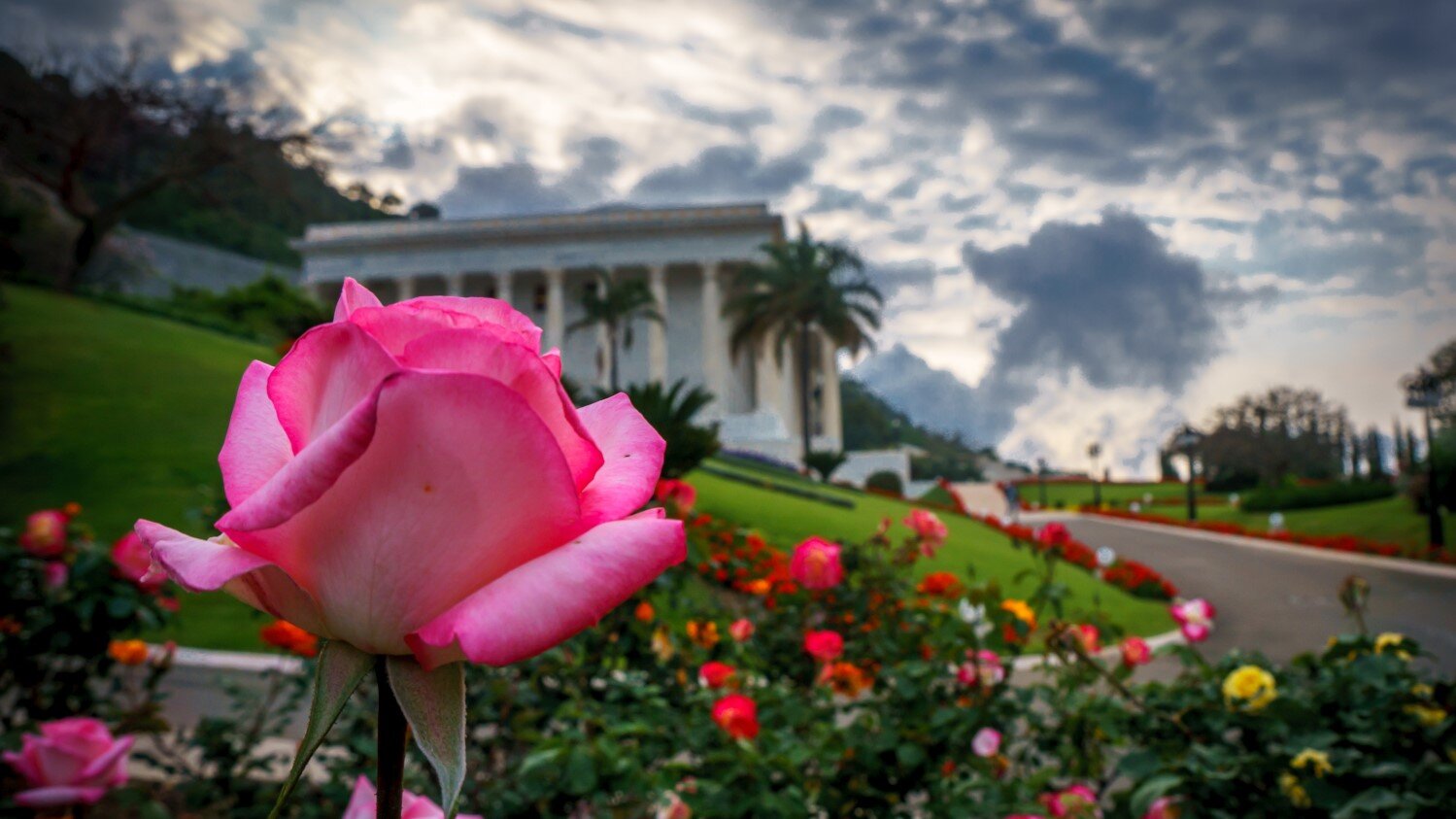 Kiwi reflects upon special period of service