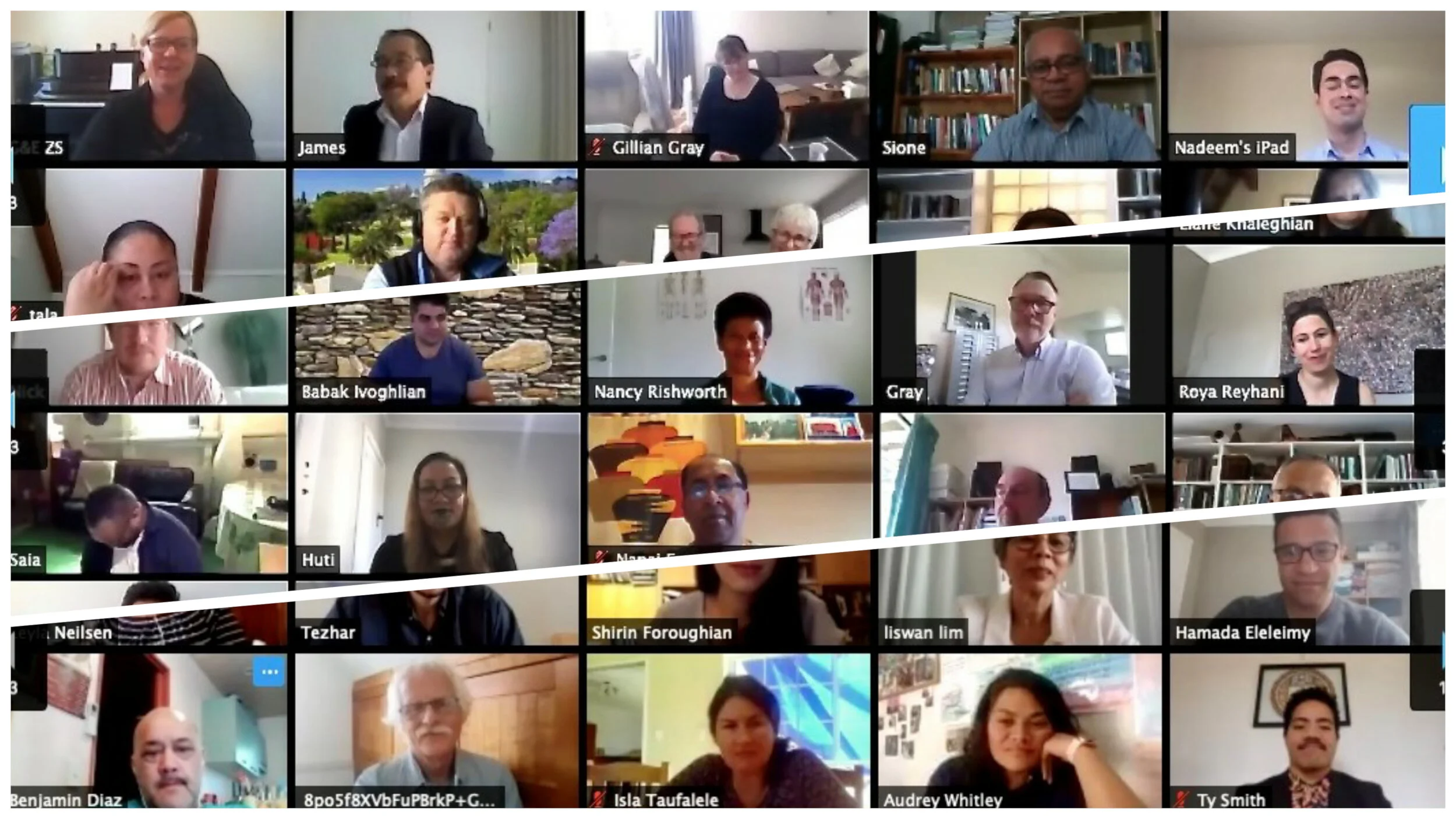 Counsellor addresses an historic online gathering