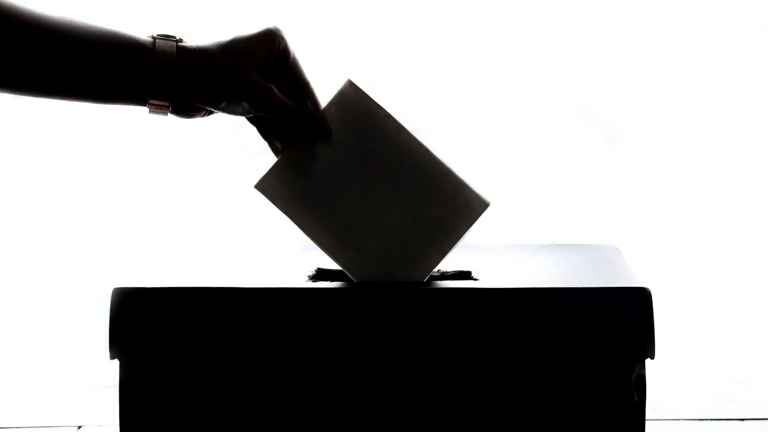 Guidance on referendums and civil elections this year