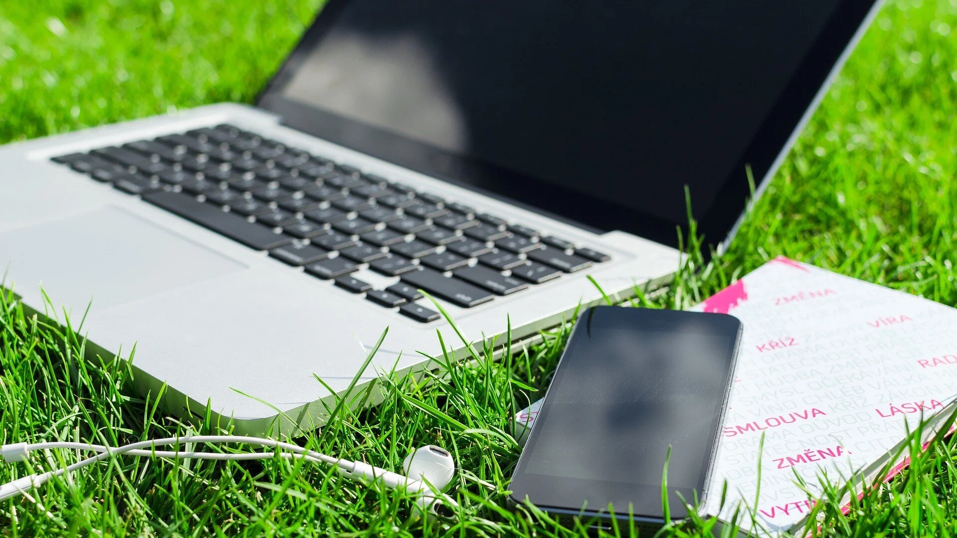 Summer school offers twofold learning experiences