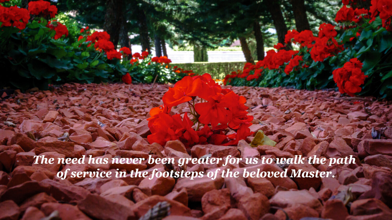 Playing our part to befittingly honour ‘Abdu’l-Bahá