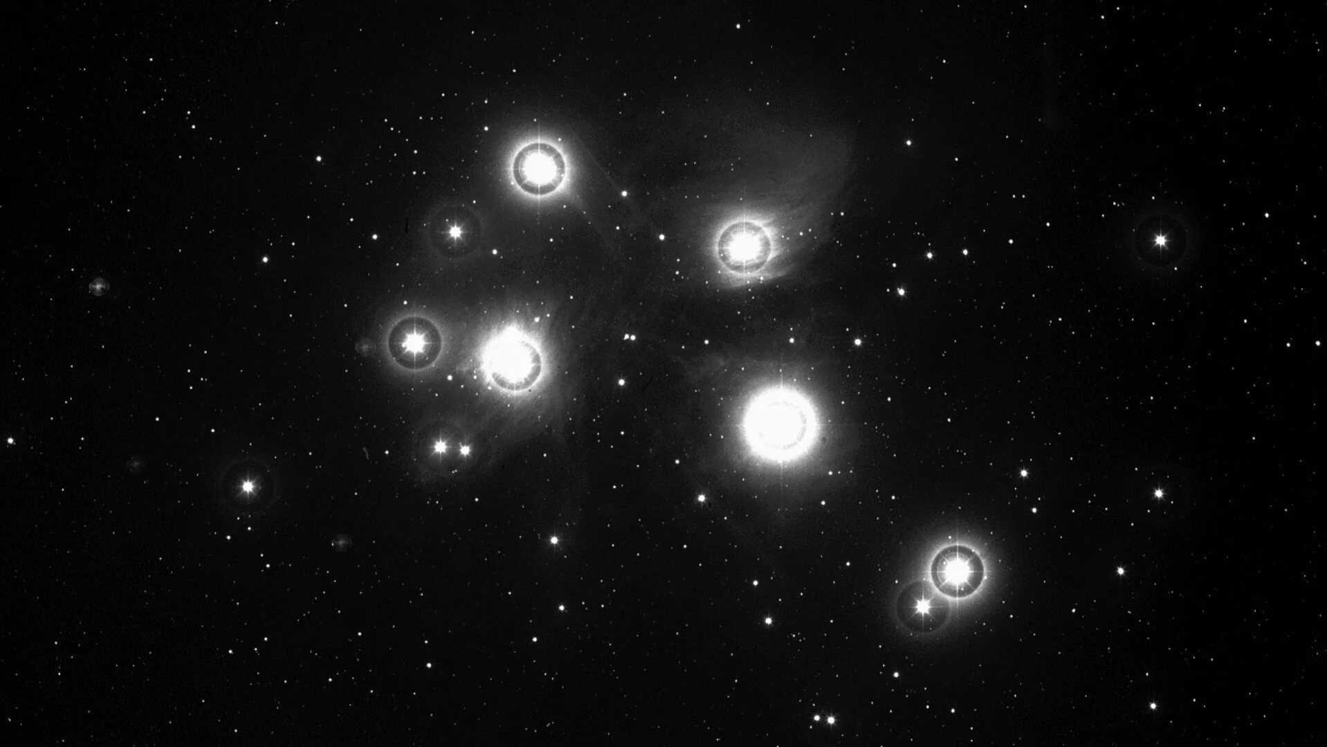 Celebrating the unifying virtues of Matariki