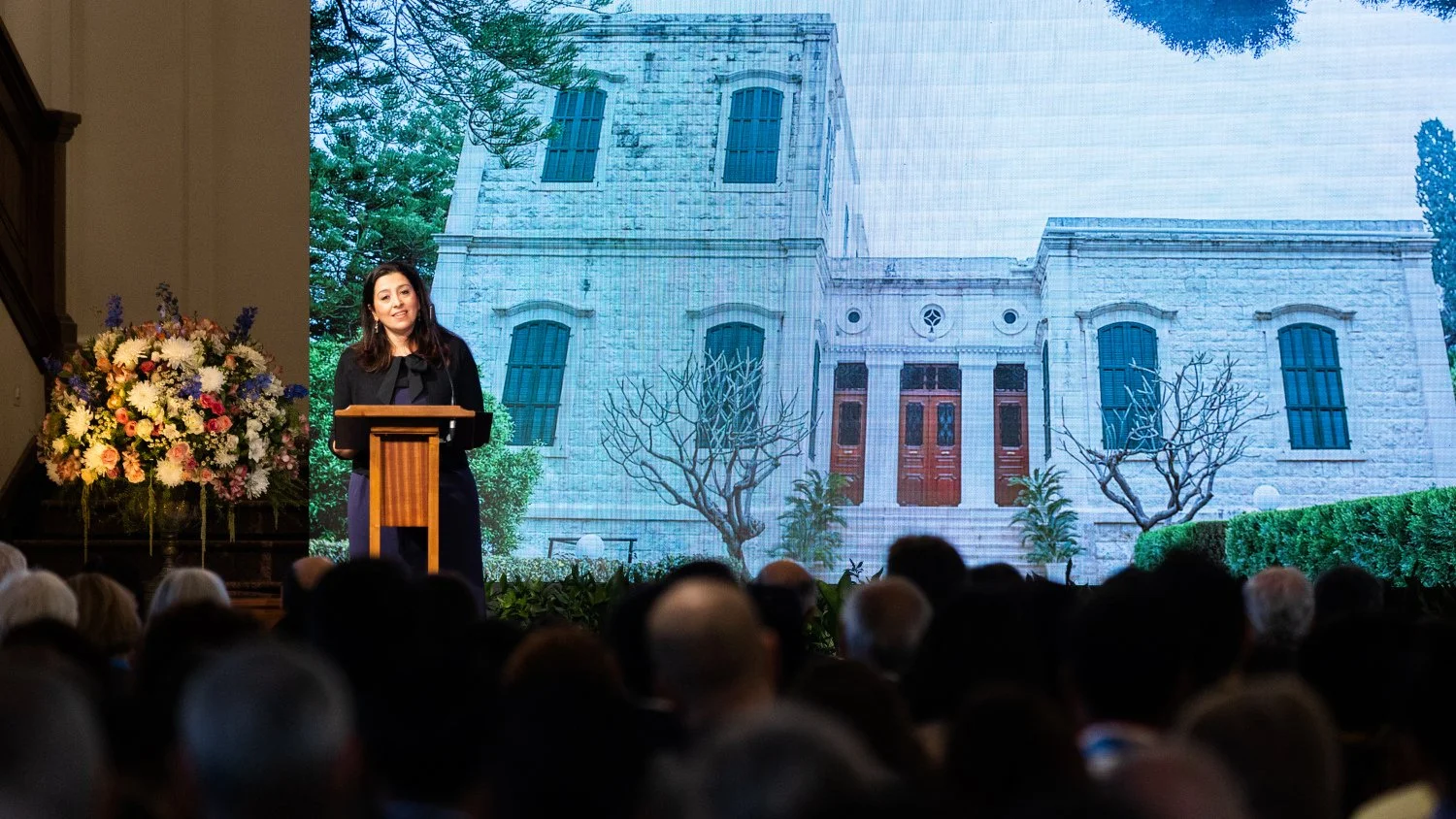 Newly released: a wealth of video resources