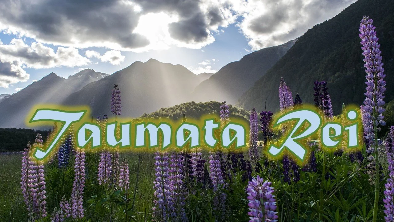 New agency to foster translations into Te Reo Māori