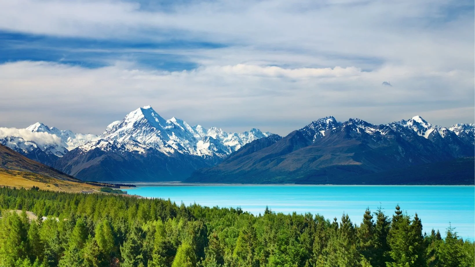 Reflections on Local Spiritual Assemblies and their station