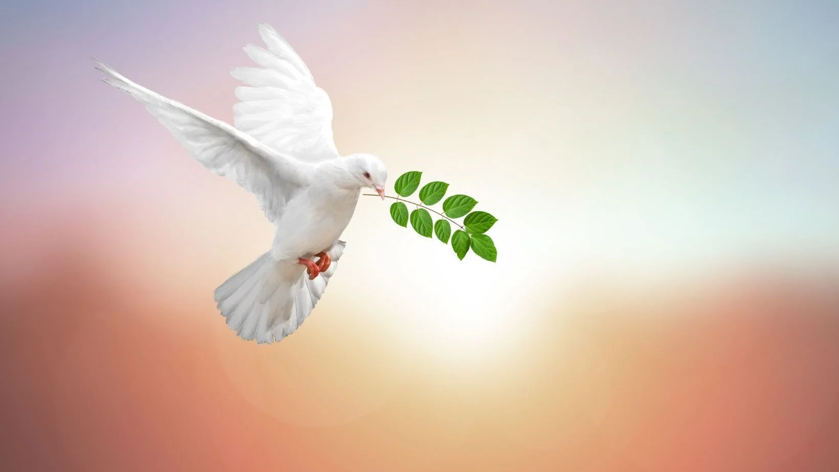 An opportunity for collective devotions