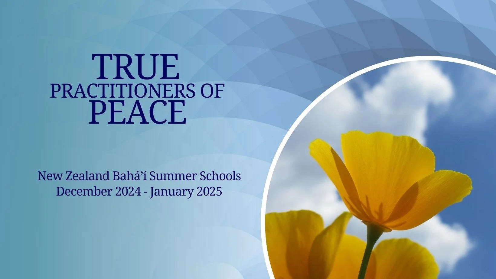 Riches of learning and joy await at upcoming summer schools