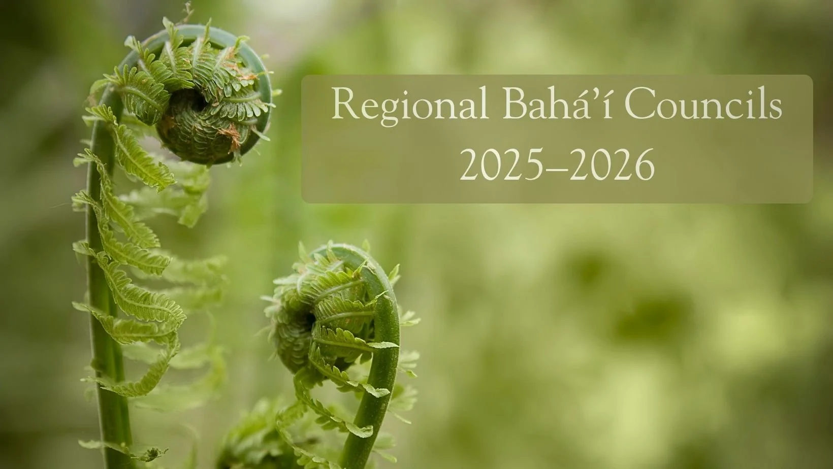 Regional Bahá’í Council membership for 2025–2026