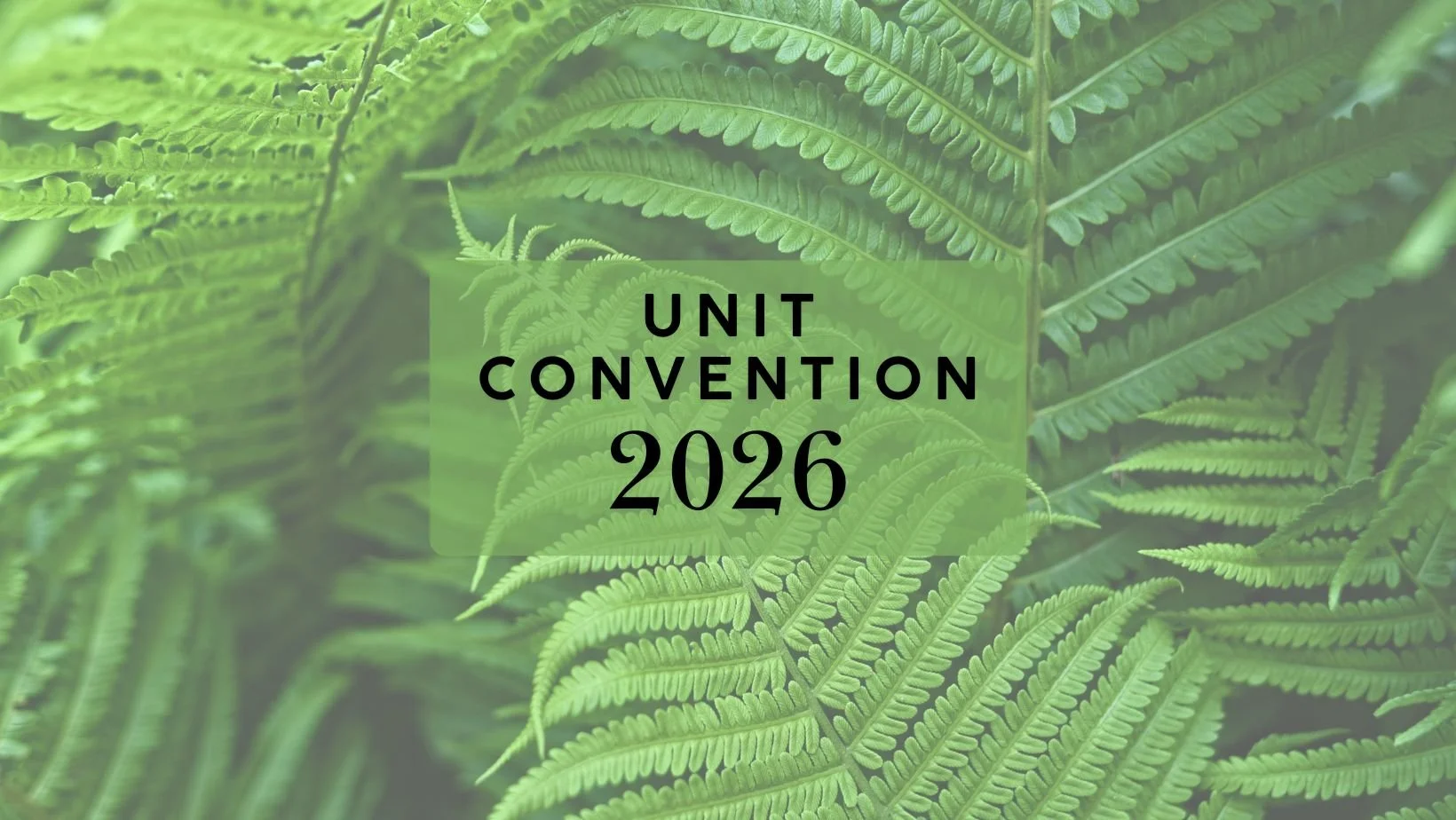 Friends gather across Aotearoa for unit conventions