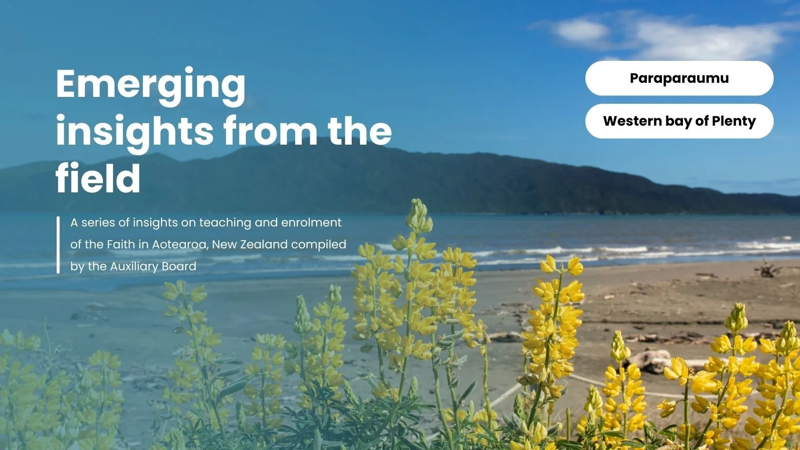 Emerging insights from the field: Teaching and Enrolment (Part 3)