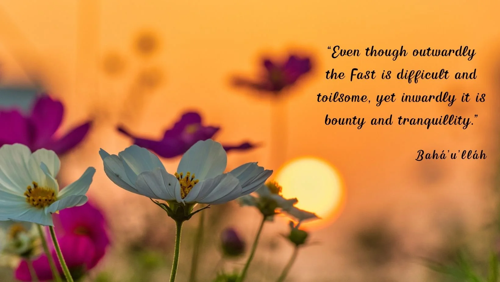 A message for the season of Ayyám-i-Há and the Fast