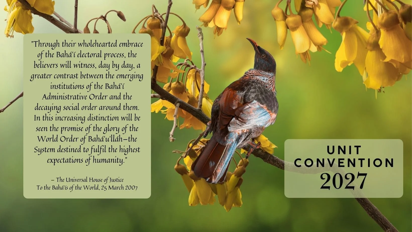 Save the date: Unit Conventions 202
