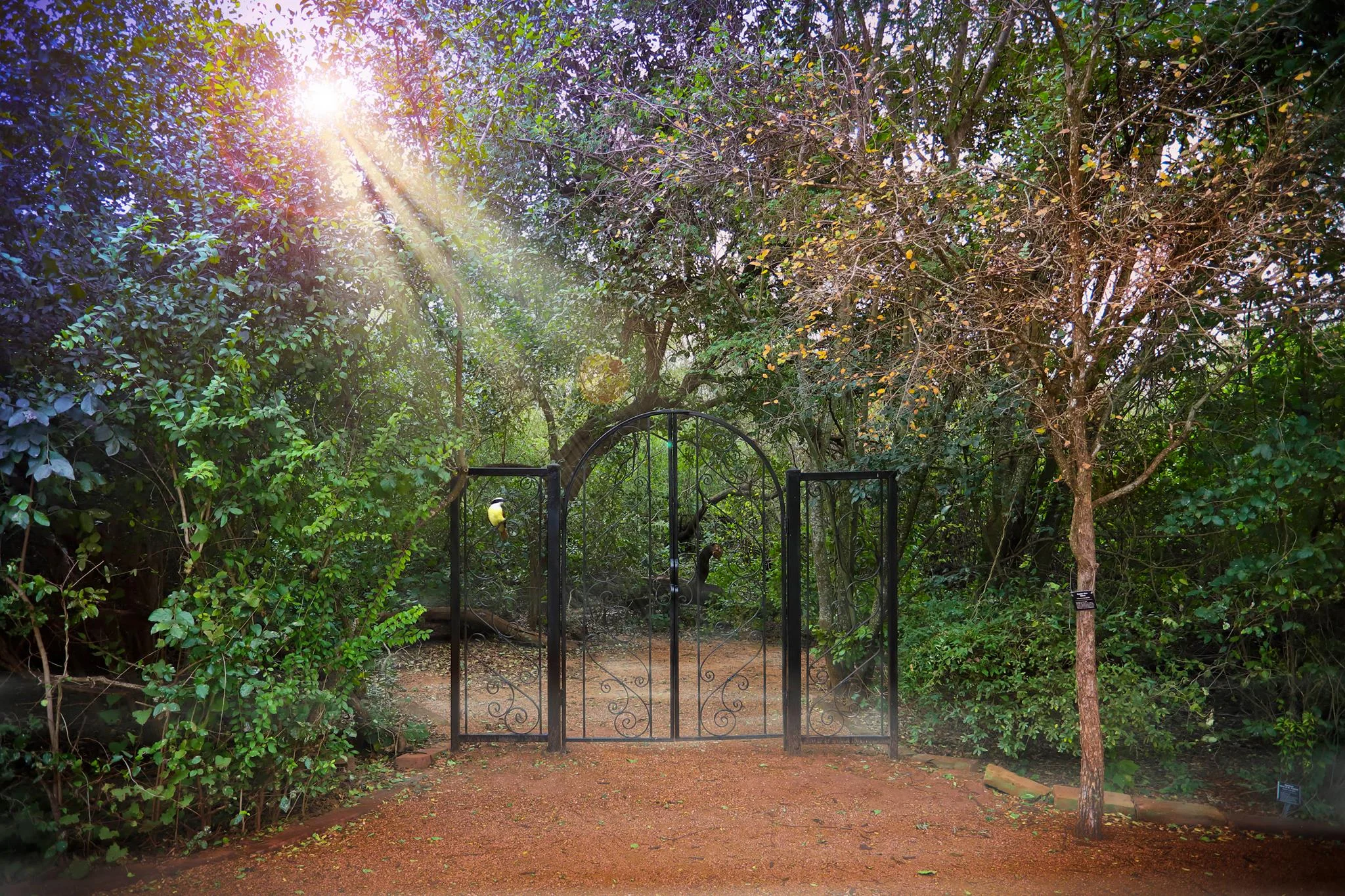 McAllen Guided Nature Tour