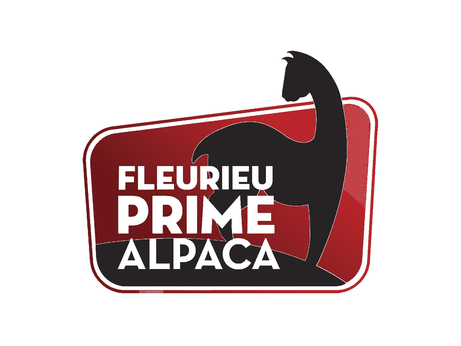 Fleurieu Prime Alpaca