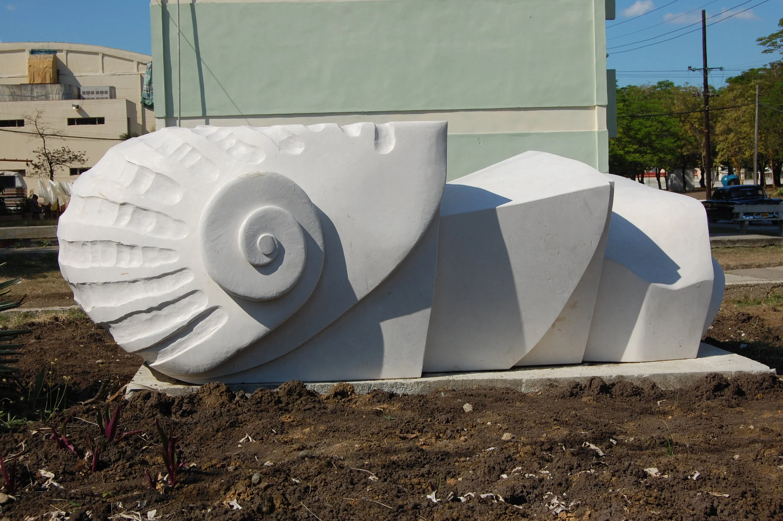 nautilus.jpg