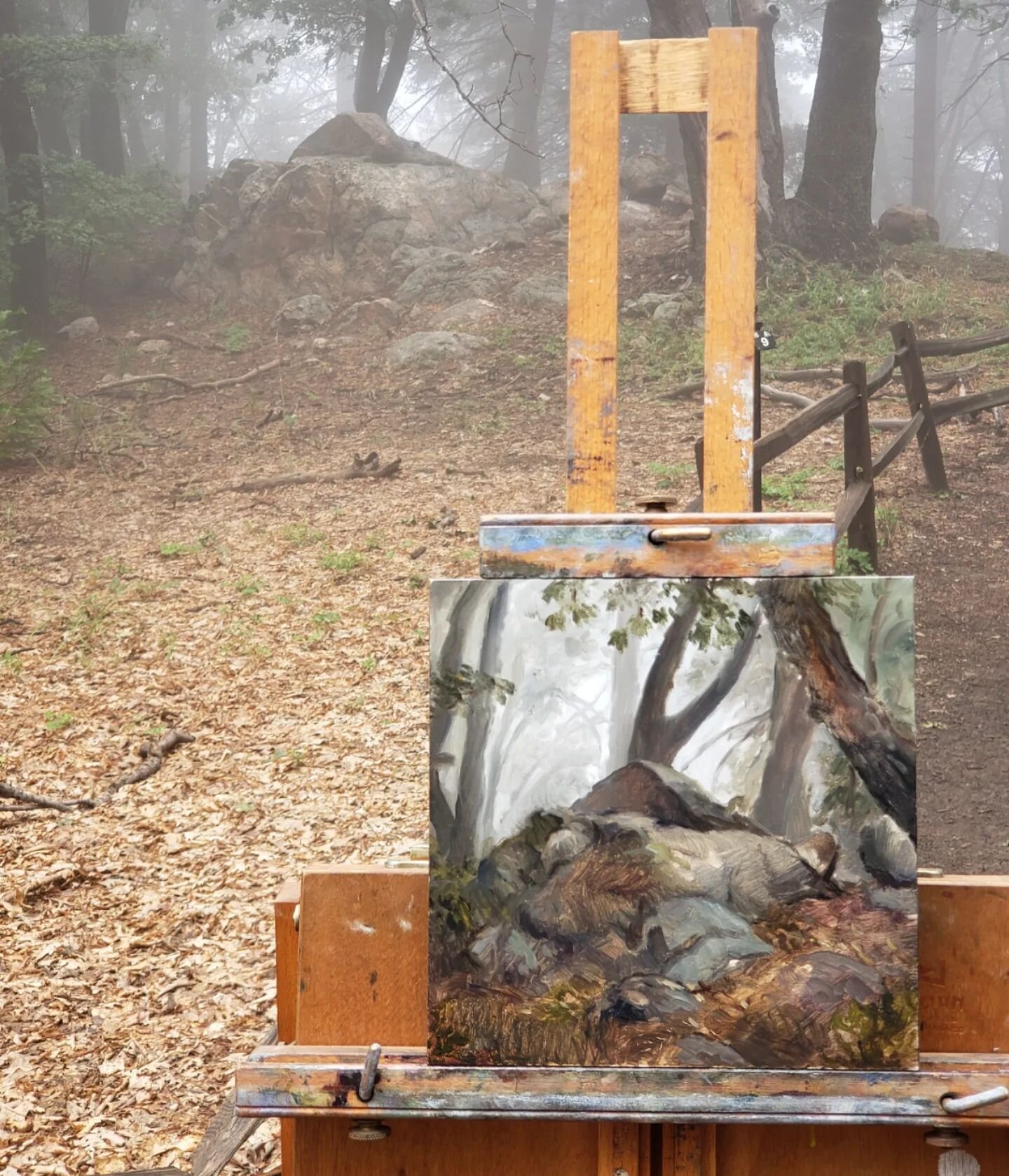 Rocks that look like an old burial mound. What a blessing to paint in a deep, misty mountain forest.

#lakearrowhead #californiaart #californiapleinair #pleinairpainter #pleinairlandscape #burialmound #burial #darkfolk #darkfolklore #darkforest #mist