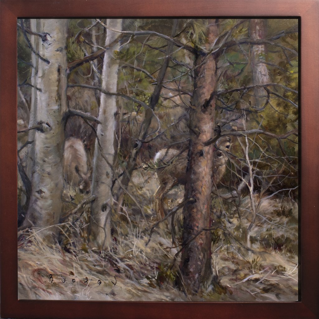 The Forest Waking Up, in Idaho_Oap_12x12_FR.jpg