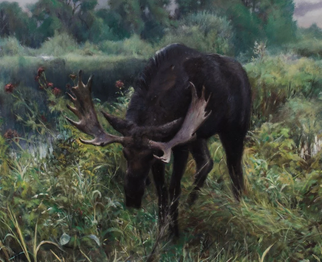 Soul Wandering, Moose at DawnDETAIL_ob_18x24.jpg
