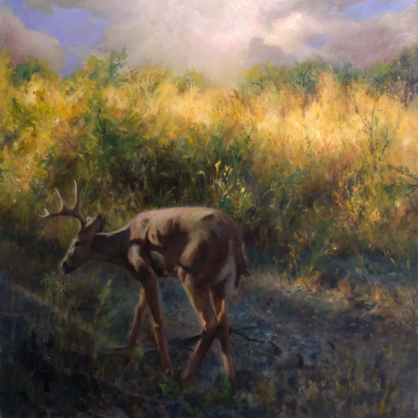 New 14&quot; x 14&quot; art - &quot;Melting Sky&quot;.
This painting captures a quiet moment at the close of day, as a solitary deer moves cautiously through a sun-drenched clearing. The golden light of the setting sun filters through the dense brush