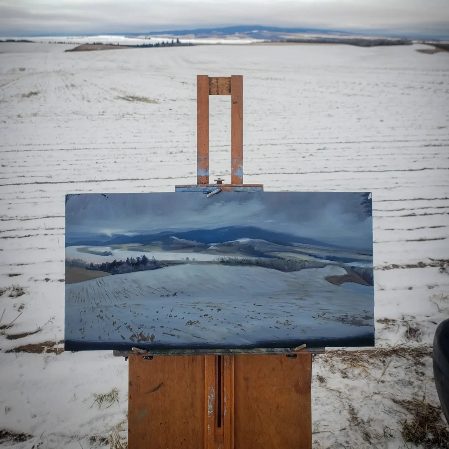 One last painting from the Teton retreat, this time of our humble and quiet farm fields of Idaho. I saw a herd of deer crossing in the distance so be sure I will add them to the painting as well. And check out all the five paintings together back in 