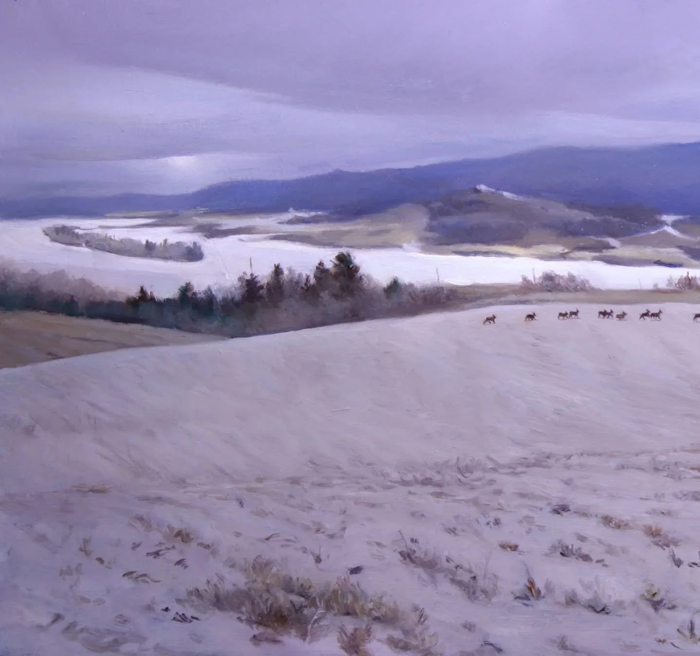 Swipe ->->
A new plein air landscape painting from Idaho's side of the Teton range! "Winter Journey; Teton Valley, Idaho", 10" x 20" oil on aluminum panel. Available for sale.

On our last day leaving the Jackson Hole painti